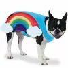 Rainbow Pet Costume