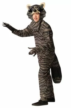 Raccoon Adult Costume